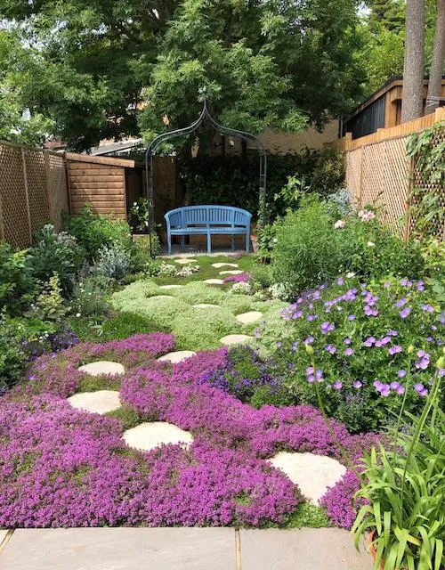 Growing Thyme